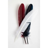 Herbin Gänsekiele, 22 cm lg, 4 Farb sortiert