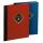 Exacompta BE-Buch 22,5x30,5 sortiert 16 S.