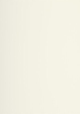 Lalo Papier A4 Verge 210g elfenbein 25Bl