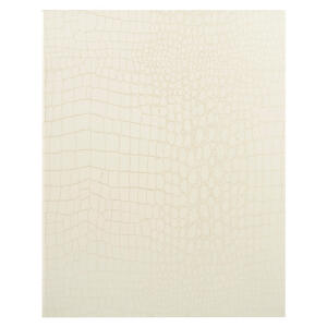 Exacompta Gästebuch 27x22 Celia 100S elf