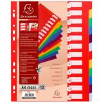 Exacompta Register A4 Maxi PP blanco 12tlg