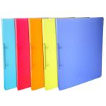 Exacompta Ringbuch A4 Linicolor 2R 15mm sort
