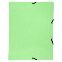 Exacompta Ringbuch Iderama A4 2R 15mm anis