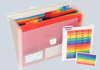Exacompta Fächermappe Crystal 13tlg tr-weiss