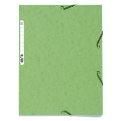 Exacompta Sammelmappe 3Kla/Gz Etikett lindgn