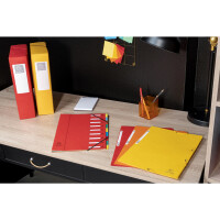 Exacompta Sammelmappe 3Kla/Gz Etikett lindgn