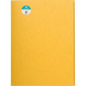 Exacompta Aktenmappe 24x32 Karton gb