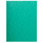 Exacompta Aktenmappe 24x32 Karton gn