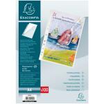 Exacompta Prospekthül A4 PP glatt 60µ 100 St