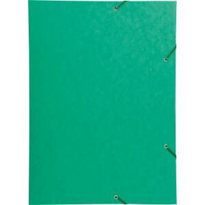 Exacompta Sammelmappe Manila grün EXACOMPTA 59515E A3
