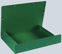 Exacompta Sammelmappe Manila grün EXACOMPTA 59515E A3