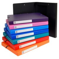 Exacompta Archivbox Opak PP 25mm sortiert