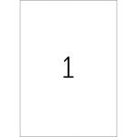 Herma Etiketten ablösbar 210 x 297 mm grün 20 Bl 20 Etik. LaserInkCopy