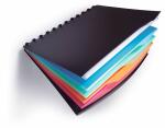 Durable Sichtbuch DURALOOK Style sw 20 Sichthüllen Register 4tlg