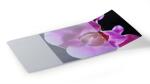 Durable Mousepad plus 300x200x2,5mm tr tr Abdeckung frei...