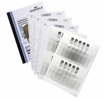 Durable Namensschilder Set 60x90mm 20 Schilder mit Clip...
