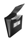FSY Fächer-Tasche PP, 5er, Standard, schwarz, 1...