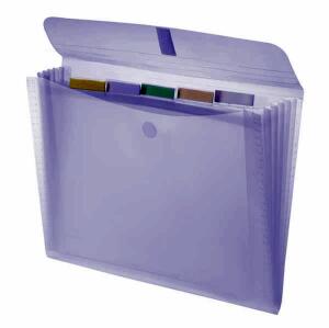 FSY Fächertasche "light" mit 5 Fächern+Reitern, A4, PP, farblos transp., 1 Stück