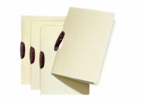 Pagna Bewerbungsmappe Swing Classic 2tlg. beige