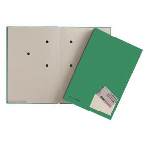 Pagna Unterschriftsmappe Color 20 Fächer grün