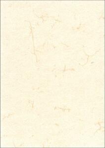 RNK Elefantenhautpapier neutral A5 190g ws 100 St