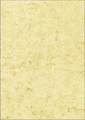 RNK Elefantenhautpapier neutral A4 110g ch