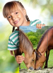 Zeichenmappe "Lovely Horses", Maße (BxH): 310 x 440 mm, bis A3,