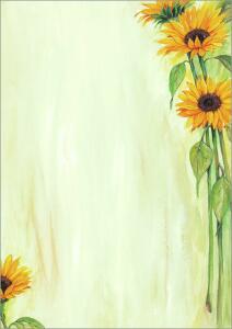 SIGEL DP694 Motiv-Papier - Sonnenblumen - grün/orange - 90 g/m² - A4 - 25 Blatt