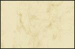 SIGEL DP744 Visitenkarten - Marmor - beige - 225 g/m² - 100 Karten