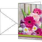 SIGEL DS001 Motiv-Karten - Colorful - pink - C6 - 10...
