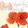 SIGEL DS003 Glückwunsch-Karten - Red Poppies - rot - C6 - 10 Karten + Umschläge - inkl. weiße Umschläge
