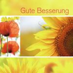 SIGEL DS047 Glückwunsch-Karten - Gute Besserung - gelb - C6 - 10 Karten + Umschläge - inkl. weiße Umschläge