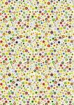 HEYDA 204772066 Motivkarton Blumen Mini 50 x 70 cm