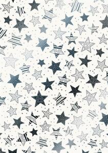 HEYDA 204878988 Transparentpapier Christmas Colour Sterne A4 (21 x 31 cm inkl. Codierleiste) silberfarben