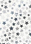 Transparentpapier Christmas Colour Sterne A4 silberfarben