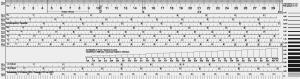 Standardgraph Typometer 1 Stück