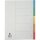 Register Plastik A4 5tlg bunt Q-CONNECT KF01834