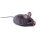 HEXBUG Mouse Cat Toy, grau