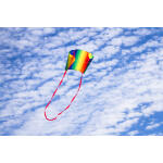 HQ Stabloser Drachen Sleddy Rainbow
