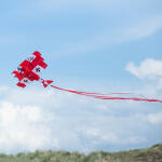 HQ Einleiner Red Baron 3D Airplane