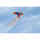 HQ Vogeldrachen Bird Tropical