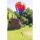 HQ Windspiel Hot Air Balloon Twist Sunrise