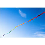 HQ Drachenschwanz Fuzzy Tail 20 m (Fransenschwanz)