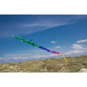 HQ Drachenschwanz Fransenschwanz Rainbow