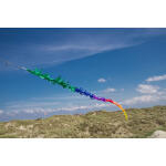 HQ Drachenschwanz Fransenschwanz Rainbow