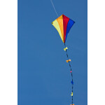 Ecoline Kinderdrachen Eddy Spectrum 50cm