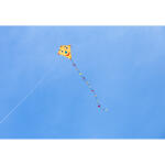 Ecoline Kinderdrachen Eddy Happy Face 50cm