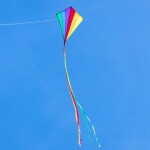 Ecoline Kinderdrachen Eddy Rainbow 70cm