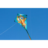 Invento 102126 - Ecoline Eddy Tiggy Kinderdrachen Einleiner, Ab 5 Jahren, 70 x 58 cm und 2.5 m Drachenschwanz Ripstop-Polyester 2-5 Beaufort