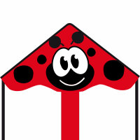 Invento Ecoline Simple Flyer Ladybug 85 cm
